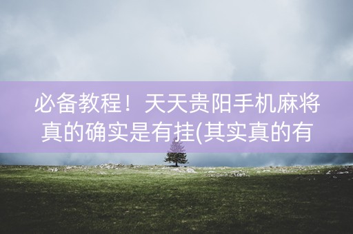 必备教程！天天贵阳手机麻将真的确实是有挂(其实真的有挂)