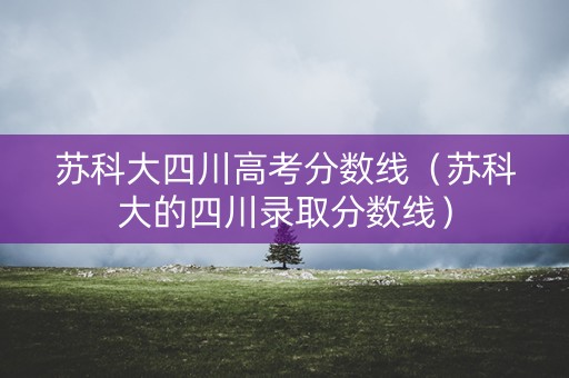 苏科大四川高考分数线（苏科大的四川录取分数线）