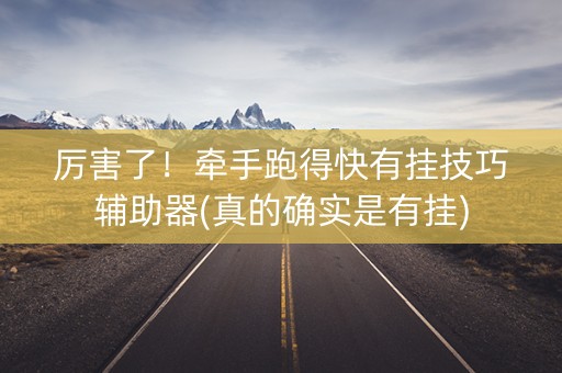 厉害了！牵手跑得快有挂技巧辅助器(真的确实是有挂)