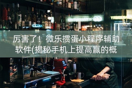 厉害了！微乐掼蛋小程序辅助软件(揭秘手机上提高赢的概率)