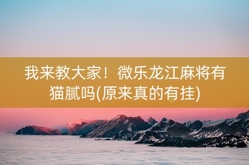 我来教大家！微乐龙江麻将有猫腻吗(原来真的有挂)