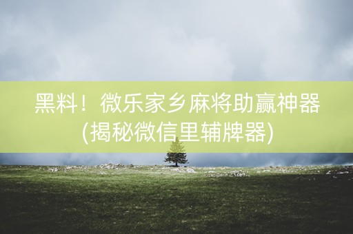 黑料！微乐家乡麻将助赢神器(揭秘微信里辅牌器)