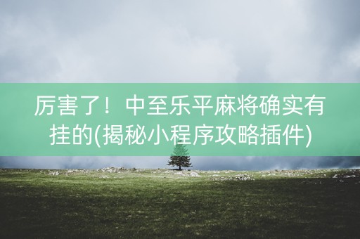 厉害了！中至乐平麻将确实有挂的(揭秘小程序攻略插件)