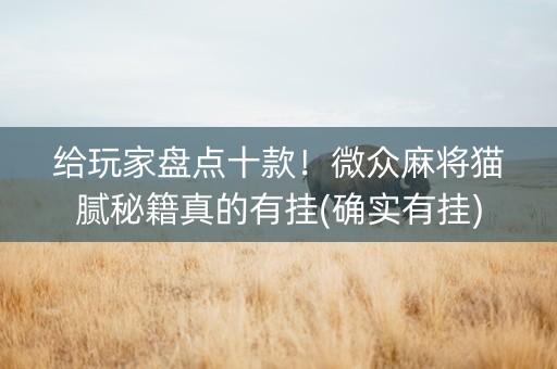 给玩家盘点十款！微众麻将猫腻秘籍真的有挂(确实有挂)