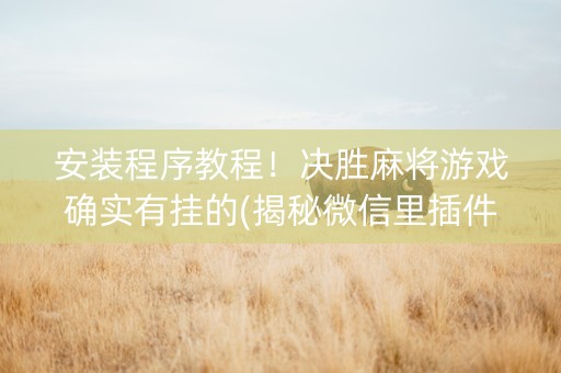 安装程序教程！决胜麻将游戏确实有挂的(揭秘微信里插件下载)