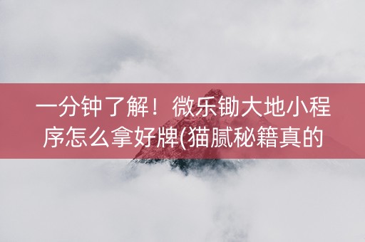 一分钟了解！微乐锄大地小程序怎么拿好牌(猫腻秘籍真的有挂)