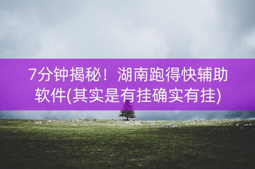 7分钟揭秘！湖南跑得快辅助软件(其实是有挂确实有挂)