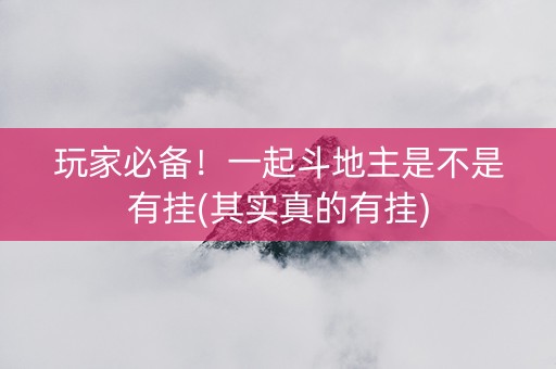 玩家必备！一起斗地主是不是有挂(其实真的有挂)