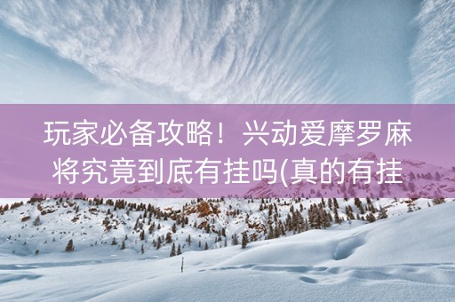 玩家必备攻略！兴动爱摩罗麻将究竟到底有挂吗(真的有挂确实有挂)
