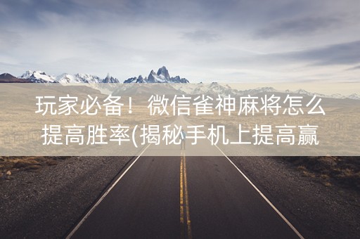 玩家必备！微信雀神麻将怎么提高胜率(揭秘手机上提高赢的概率)