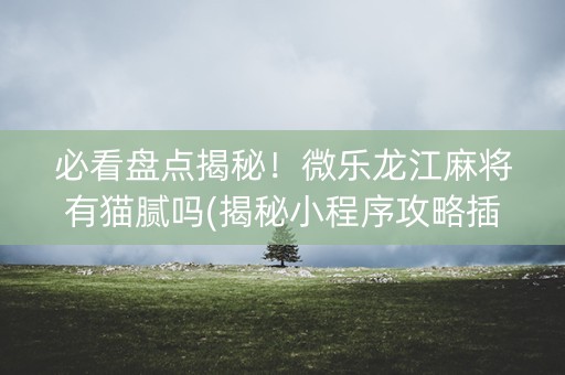 必看盘点揭秘！微乐龙江麻将有猫腻吗(揭秘小程序攻略插件)