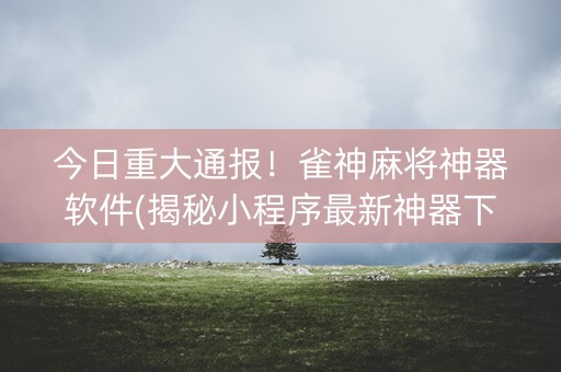 今日重大通报！雀神麻将神器软件(揭秘小程序最新神器下载)