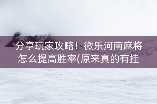分享玩家攻略！微乐河南麻将怎么提高胜率(原来真的有挂)