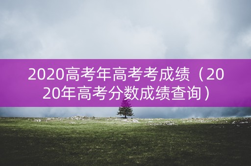 2020高考年高考考成绩（2020年高考分数成绩查询）