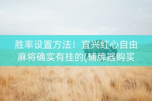 胜率设置方法！宜兴红心自由麻将确实有挂的(辅牌器购买)