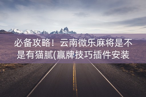 必备攻略！云南微乐麻将是不是有猫腻(赢牌技巧插件安装)