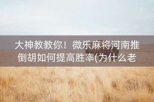 大神教教你！微乐麻将河南推倒胡如何提高胜率(为什么老是输呢)