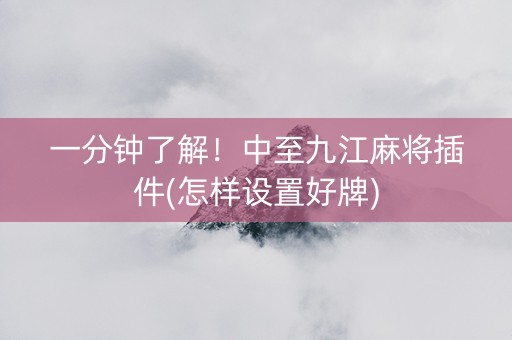 一分钟了解！中至九江麻将插件(怎样设置好牌)