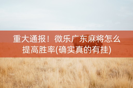 重大通报！微乐广东麻将怎么提高胜率(确实真的有挂)