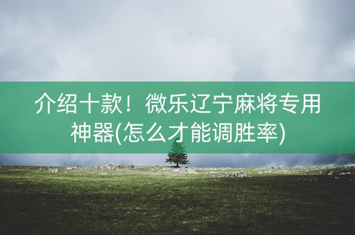 介绍十款！微乐辽宁麻将专用神器(怎么才能调胜率)