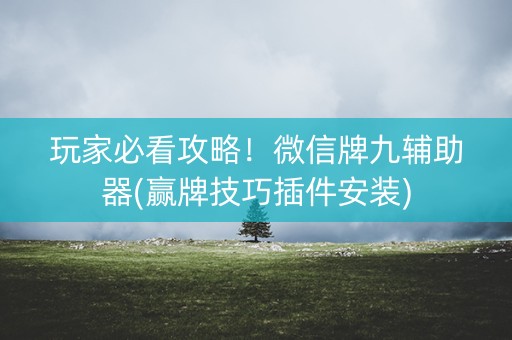 玩家必看攻略！微信牌九辅助器(赢牌技巧插件安装)