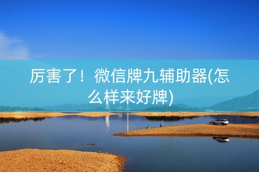 厉害了！微信牌九辅助器(怎么样来好牌)