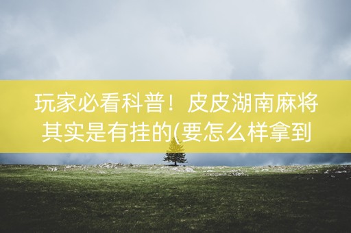 玩家必看科普！皮皮湖南麻将其实是有挂的(要怎么样拿到好牌)