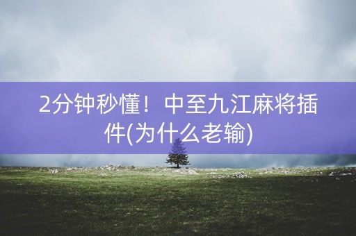 2分钟秒懂！中至九江麻将插件(为什么老输)