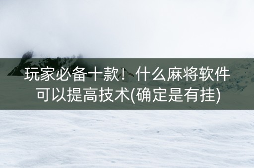 玩家必备十款！什么麻将软件可以提高技术(确定是有挂)