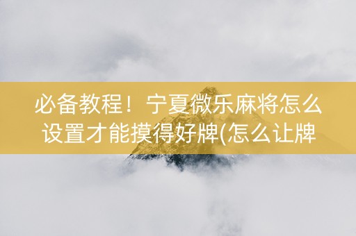 必备教程！宁夏微乐麻将怎么设置才能摸得好牌(怎么让牌更好)