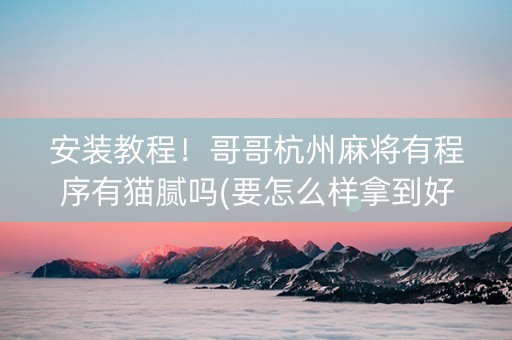 安装教程！哥哥杭州麻将有程序有猫腻吗(要怎么样拿到好牌)