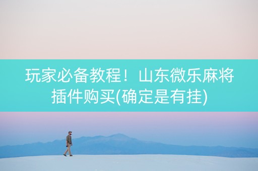 玩家必备教程！山东微乐麻将插件购买(确定是有挂)