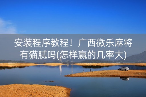 安装程序教程！广西微乐麻将有猫腻吗(怎样赢的几率大)