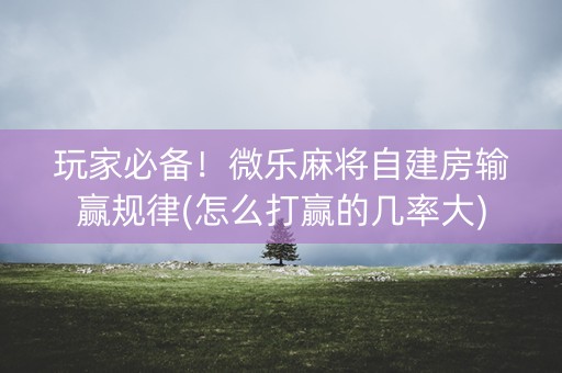 玩家必备！微乐麻将自建房输赢规律(怎么打赢的几率大)
