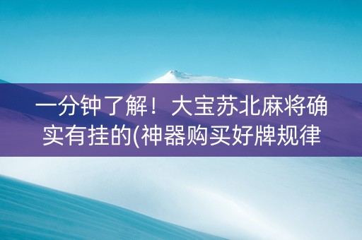 一分钟了解！大宝苏北麻将确实有挂的(神器购买好牌规律)