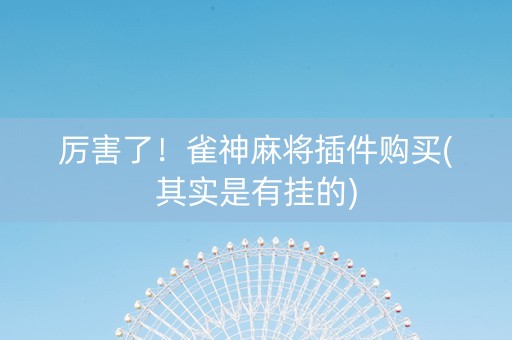 厉害了！雀神麻将插件购买(其实是有挂的)