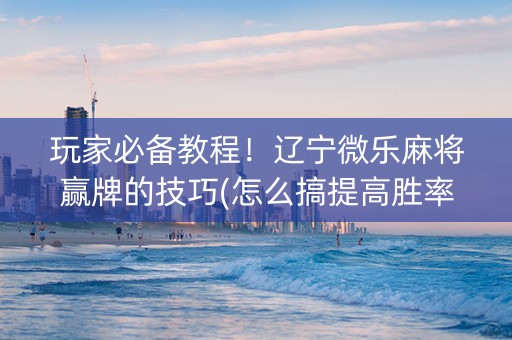 玩家必备教程！辽宁微乐麻将赢牌的技巧(怎么搞提高胜率)