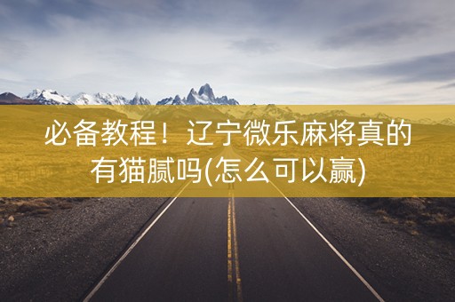 必备教程！辽宁微乐麻将真的有猫腻吗(怎么可以赢)