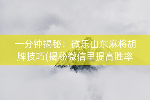 一分钟揭秘！微乐山东麻将胡牌技巧(揭秘微信里提高胜率)