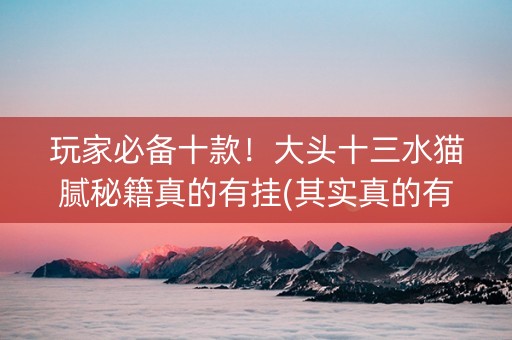 玩家必备十款！大头十三水猫腻秘籍真的有挂(其实真的有挂)