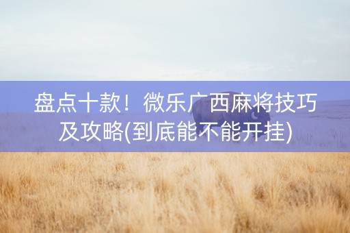 盘点十款！微乐广西麻将技巧及攻略(到底能不能开挂)