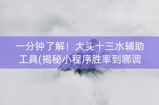 一分钟了解！大头十三水辅助工具(揭秘小程序胜率到哪调)