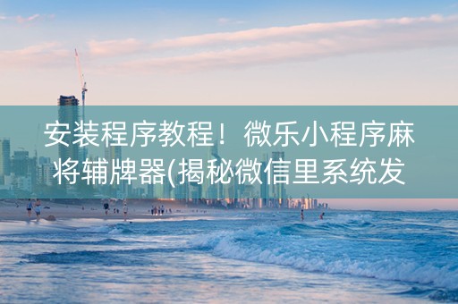 安装程序教程！微乐小程序麻将辅牌器(揭秘微信里系统发好牌)