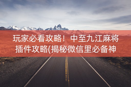 玩家必看攻略！中至九江麻将插件攻略(揭秘微信里必备神器)