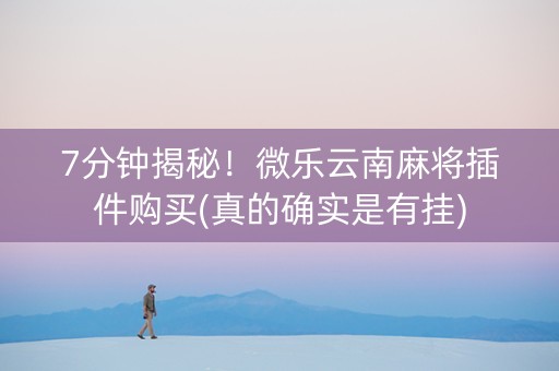 7分钟揭秘！微乐云南麻将插件购买(真的确实是有挂)