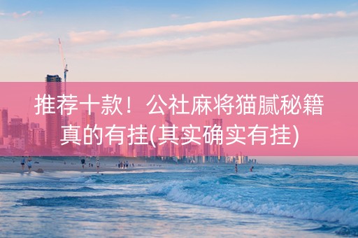 推荐十款！公社麻将猫腻秘籍真的有挂(其实确实有挂)