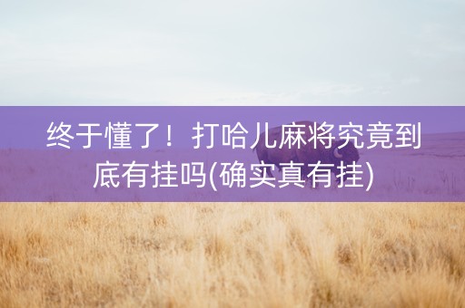 终于懂了！打哈儿麻将究竟到底有挂吗(确实真有挂)