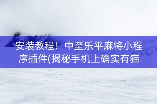安装教程！中至乐平麻将小程序插件(揭秘手机上确实有猫腻)