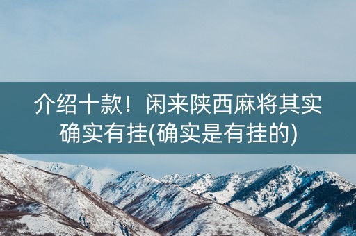 介绍十款！闲来陕西麻将其实确实有挂(确实是有挂的)
