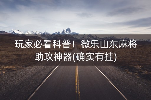 玩家必看科普！微乐山东麻将助攻神器(确实有挂)